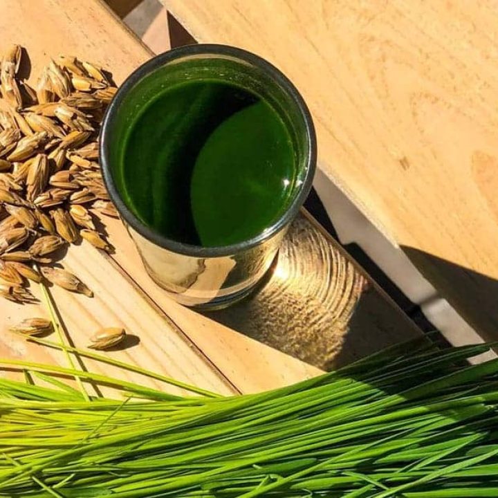 sta-je-sok-od-spelte